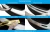 5e36adfcd41b63417c1b0f55ca0a2f89
