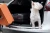 c757c2d0a794255f7fcd25fed6d017dc