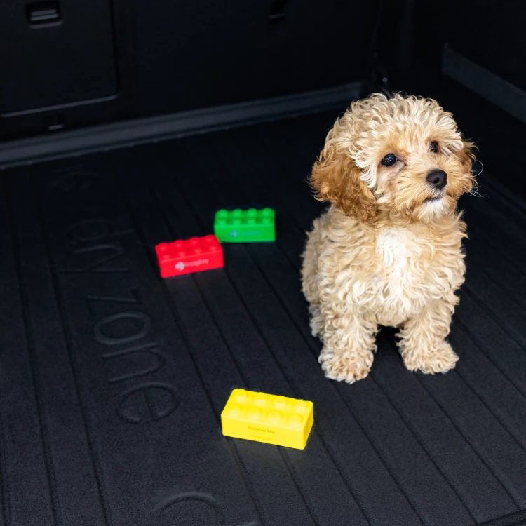 8f5d0fbae38aa23bcbd79002dc3cac81