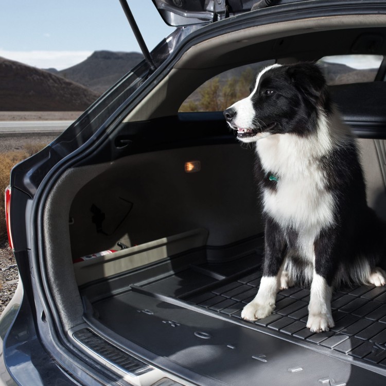 38a88b4482eb3837d2d837972fb5bfbb